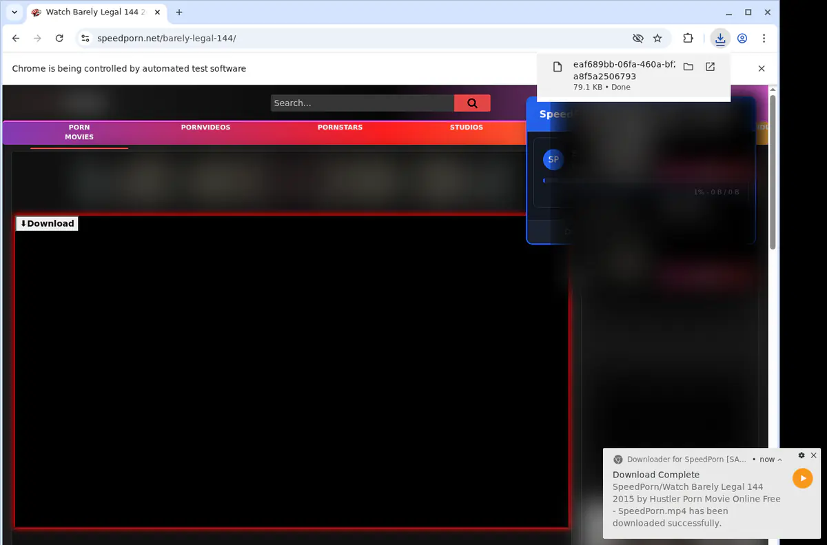Speedporn Video Downloader screenshot 2