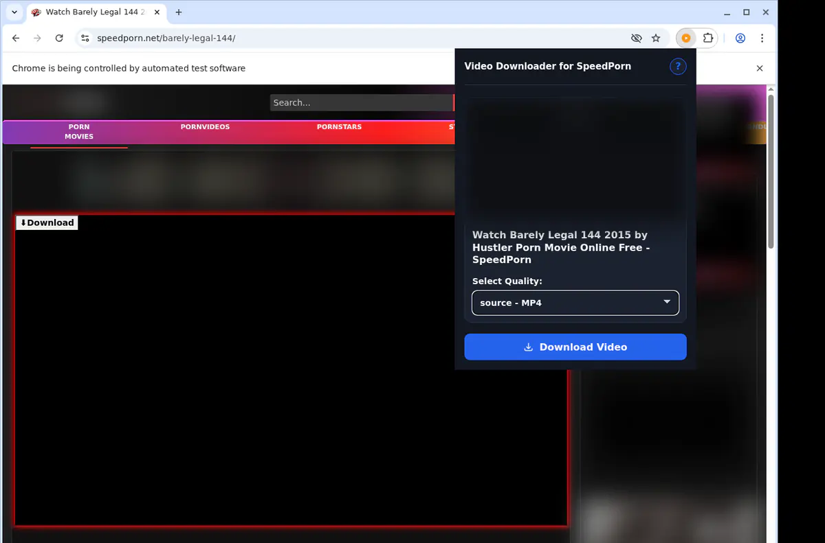 Speedporn Video Downloader screenshot 3